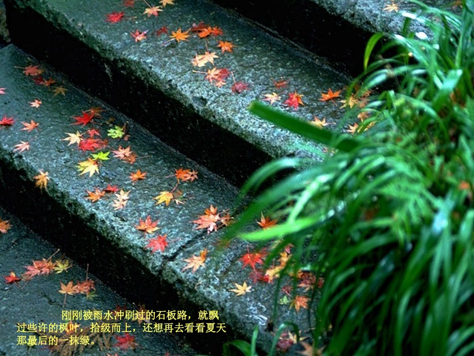 北京香山红叶_第2页