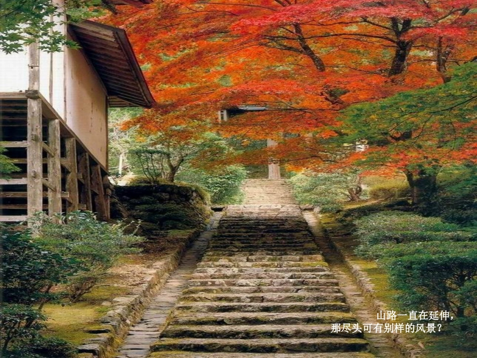 北京香山红叶_第3页