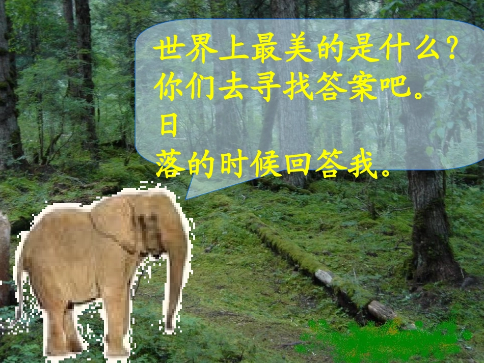 世界上最美的是什么教学课件_第3页