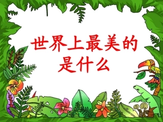 世界上最美的是什么教学课件