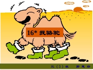 找骆驼---