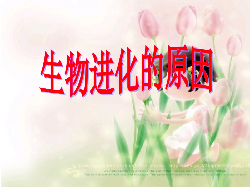 生物进化的原因_第1页