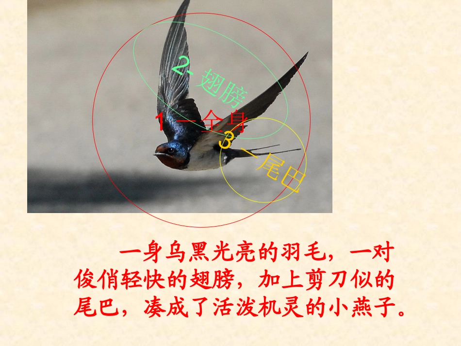 三上2习作《介绍家乡的景物》_第3页