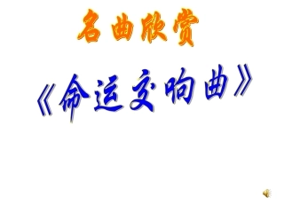 音乐巨人贝多芬 (4)