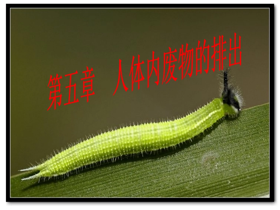 上课第二课时_第1页