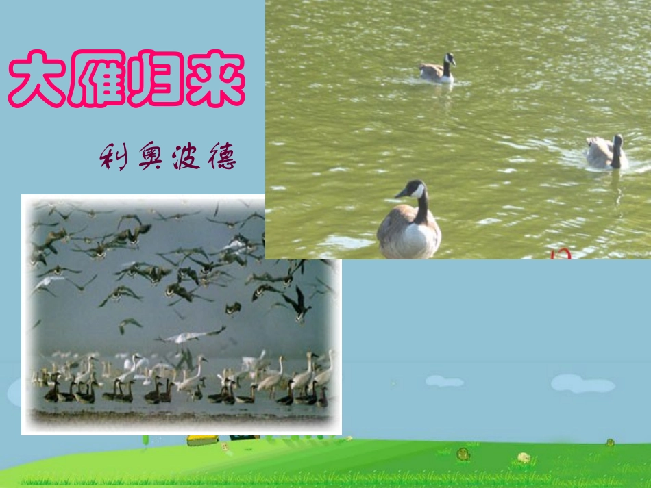 《大雁归来》课件2_第1页