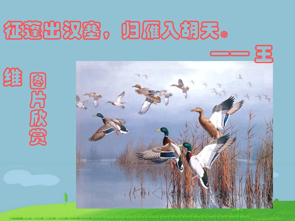 《大雁归来》课件2_第3页