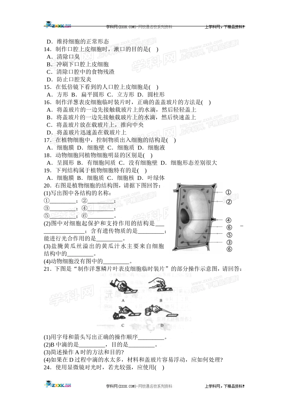 细胞的基本结构和功能同步练习_第2页