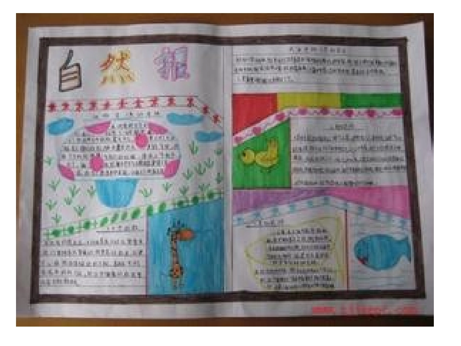 人类的老师手抄报_第3页