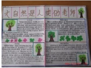 人类的老师手抄报