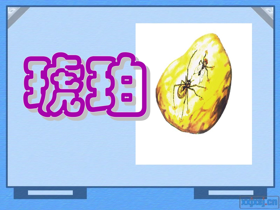 六年级下册《琥珀》课件_第1页
