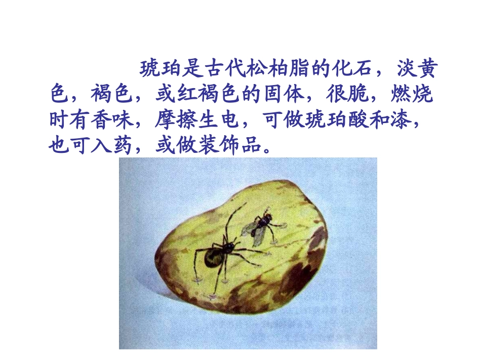 六年级下册《琥珀》课件_第2页