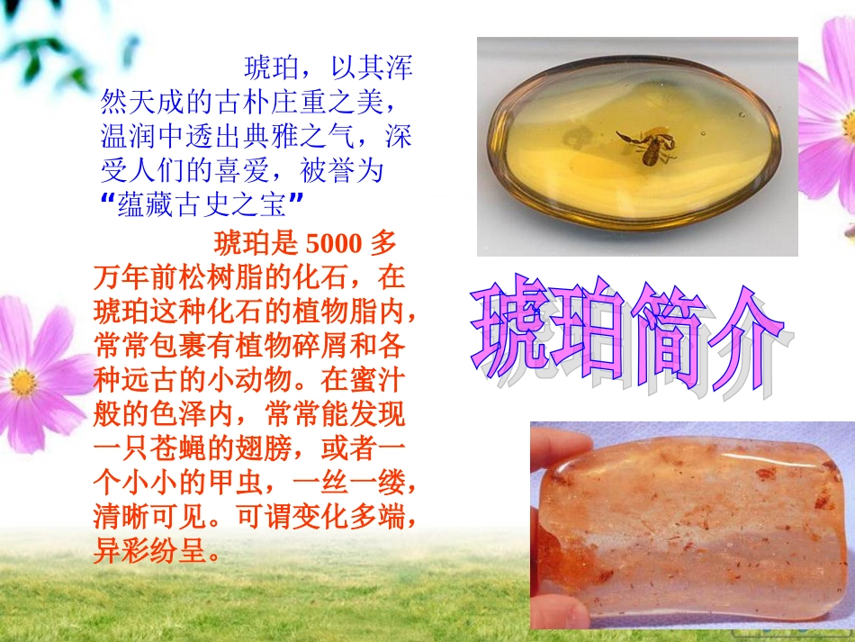 六年级下册《琥珀》课件_第3页