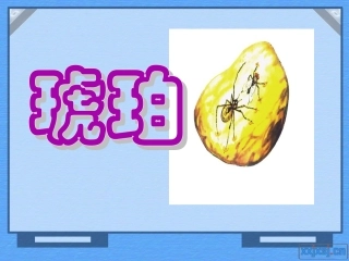 六年级下册《琥珀》课件