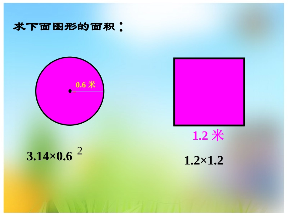 圆的面积-61-淦秀娟_第2页
