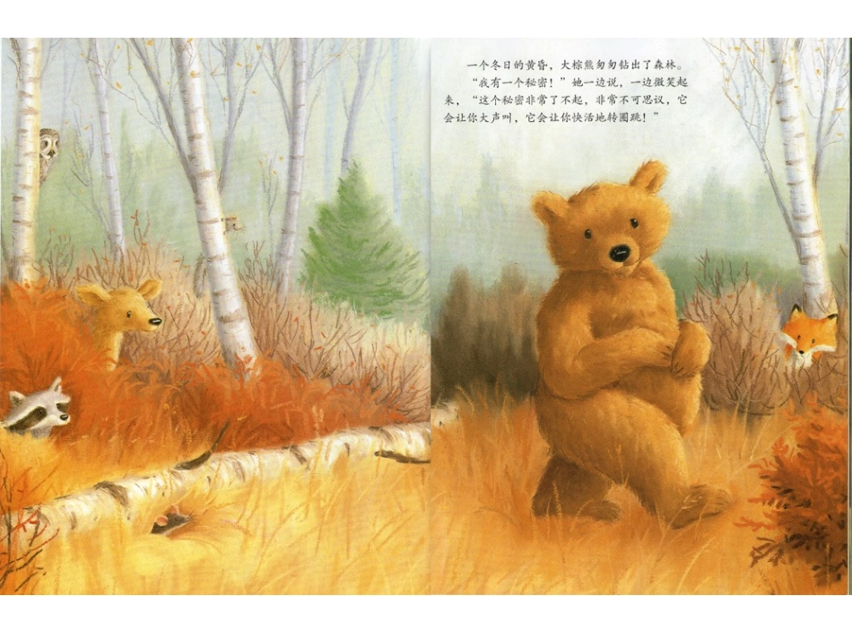 绘本《大棕熊的秘密》_第2页