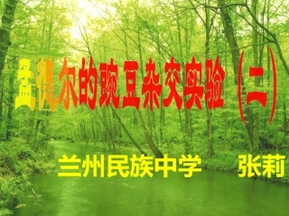 必修2第1章第2节——孟德尔的豌豆杂交实验（二）
