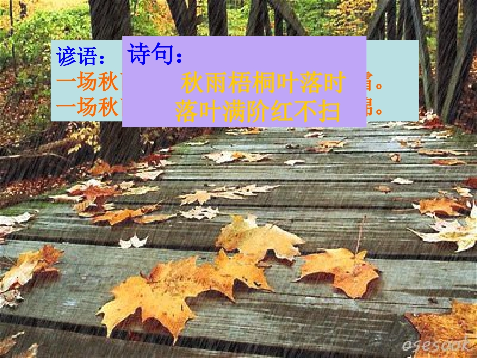 秋天的雨（1）_第2页