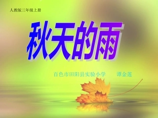 秋天的雨（1）