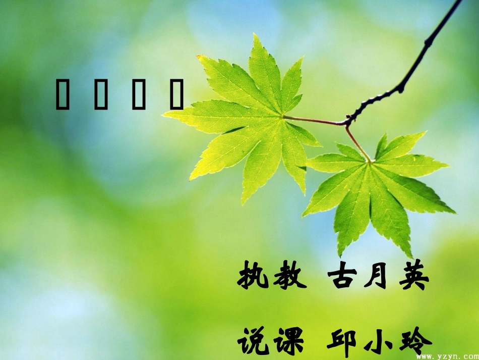 数字编码说课课件_第1页