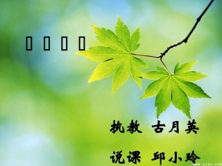数字编码说课课件