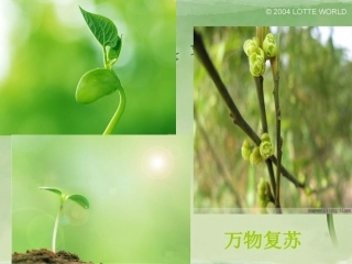 亲近自然写景要抓住特征