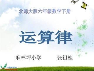 北师大版数学六年级下册《运算律》课件