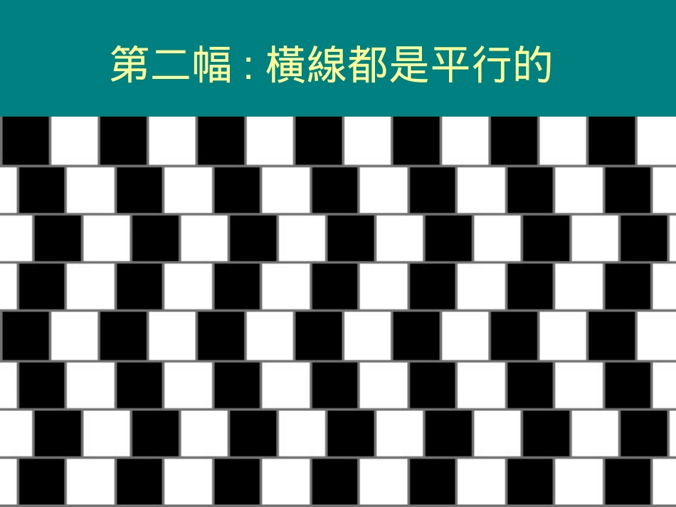 世界24大視覺奇圖_第3页