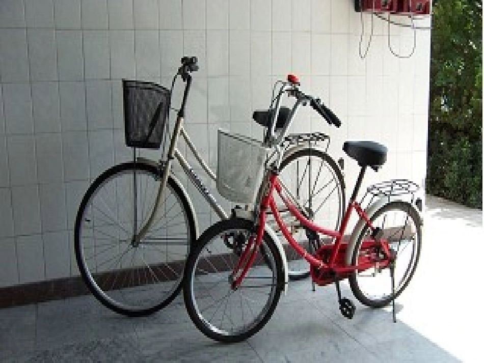 六年级数学下册自行车里的数学第一课时课件_第1页