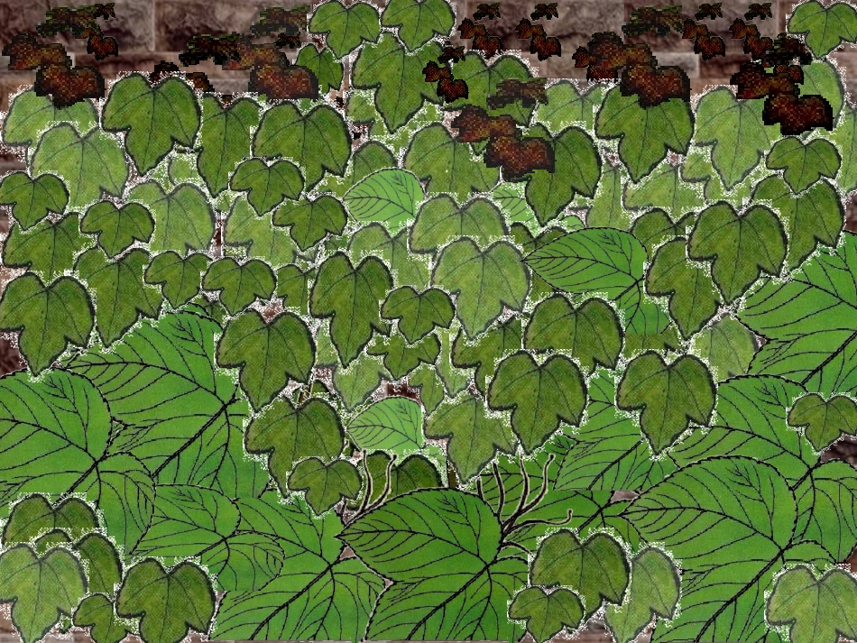 四年级《爬山虎的脚》课件2_第2页