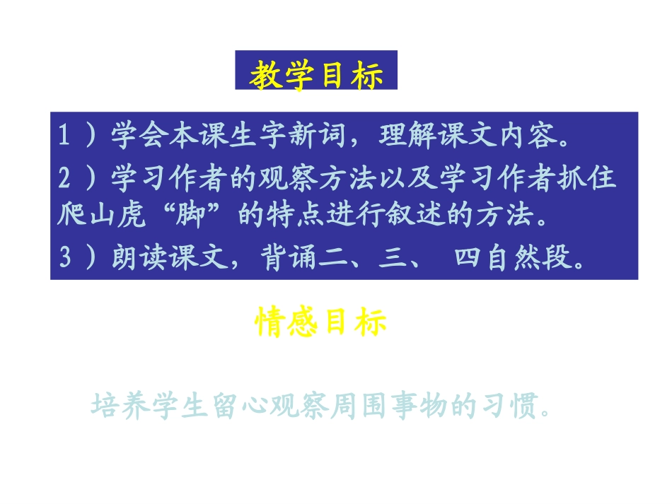 四年级《爬山虎的脚》课件2_第3页
