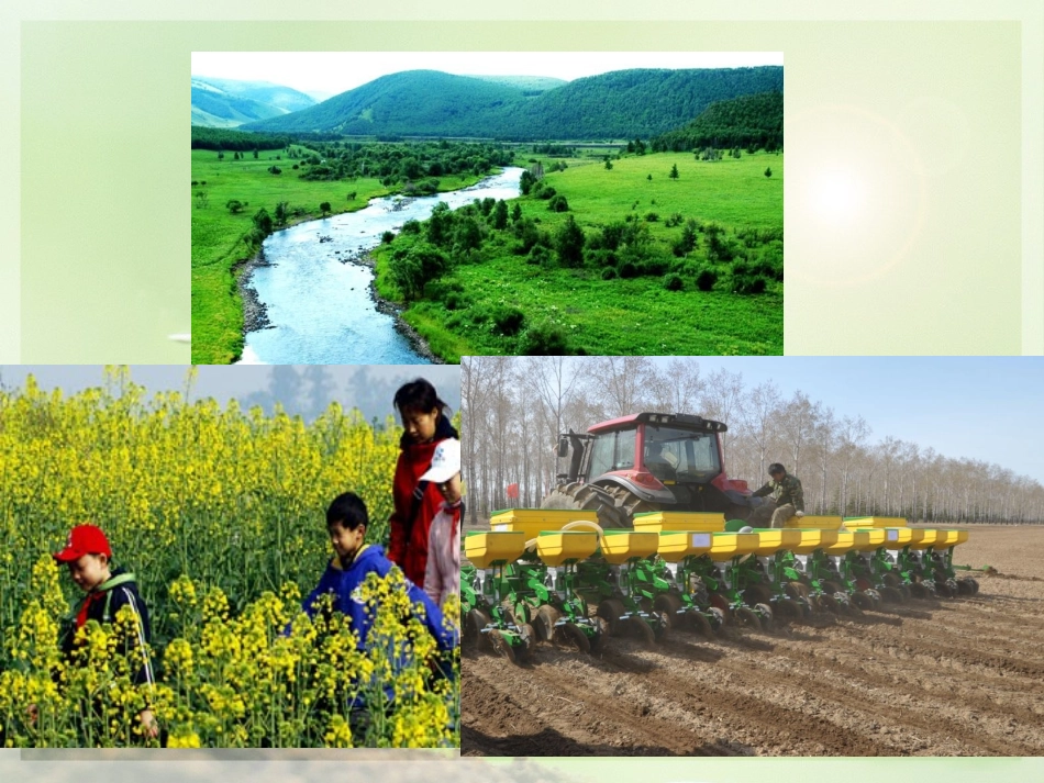 春天的畅想PPT_第3页