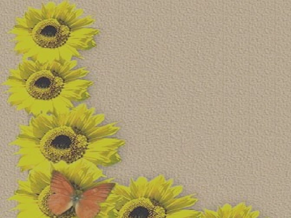 月光曲PPT_第2页