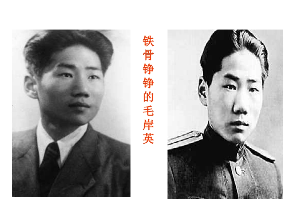 青山处处埋忠骨诵读课件_第3页