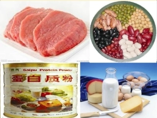 人教版必修1第2章第2节生命活动的主要承担者—蛋白质（共52张PPT）