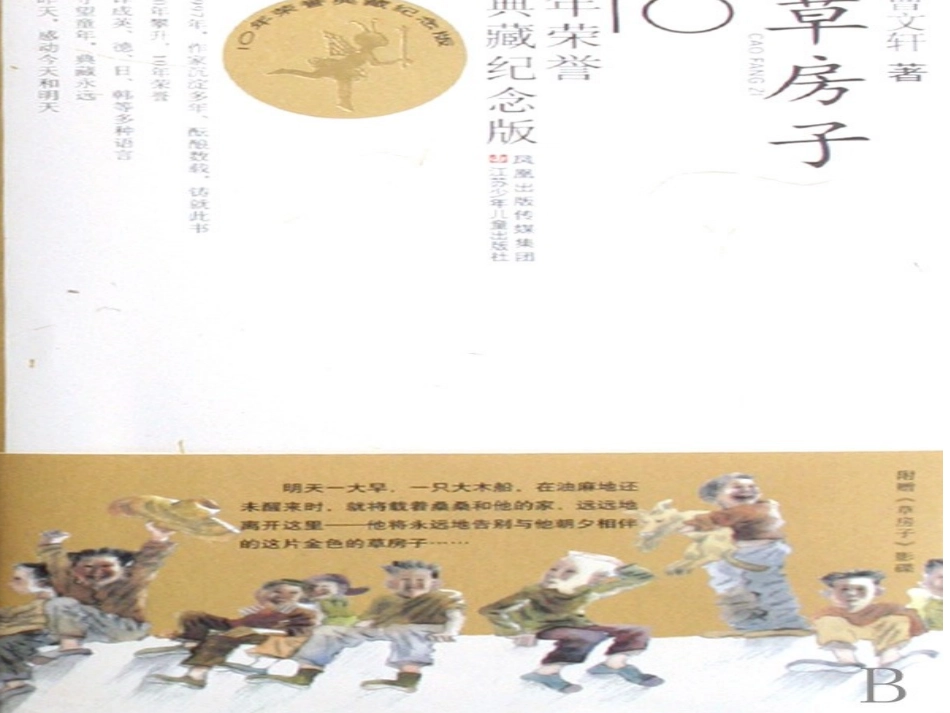《草房子》读书汇报课模板_第3页