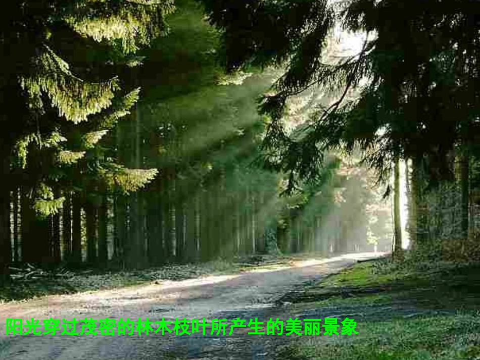 化学：21《一种重要的混合物——胶体》课件(鲁科版必修1)_第2页