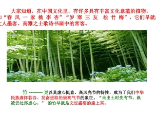 《文与可画筼筜谷偃竹记》