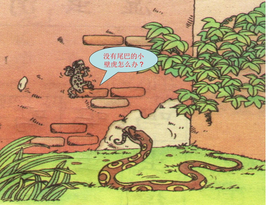 小壁虎借尾巴课件_第3页