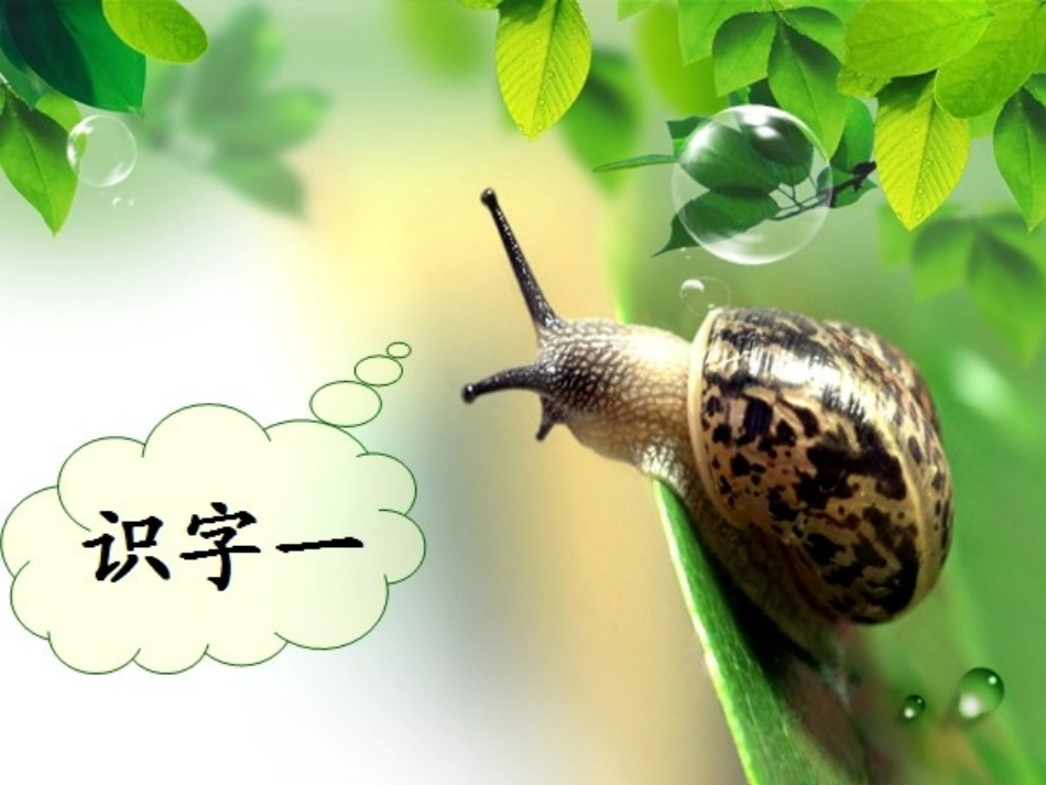 人教版一年级下语文《识字一》课件_第1页