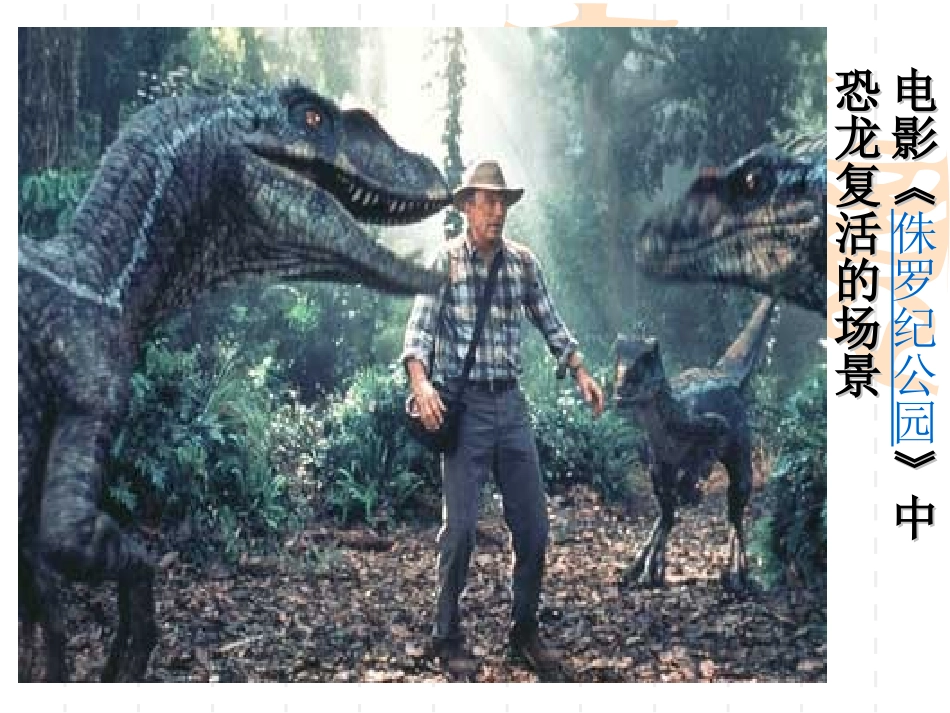 【生物】41基因指导蛋白质的合成课件1（人教版必修2）_第2页