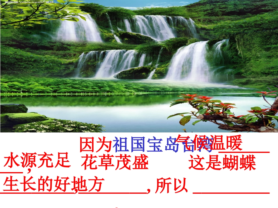 台湾的蝴蝶谷A(1)_第3页