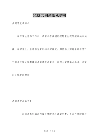 2024共同还款承诺书_5