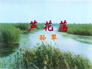 《芦花荡》课件(1)