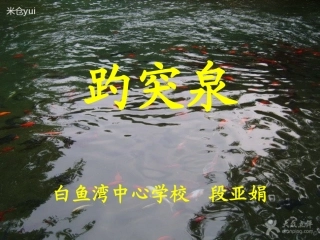 《趵突泉》课件