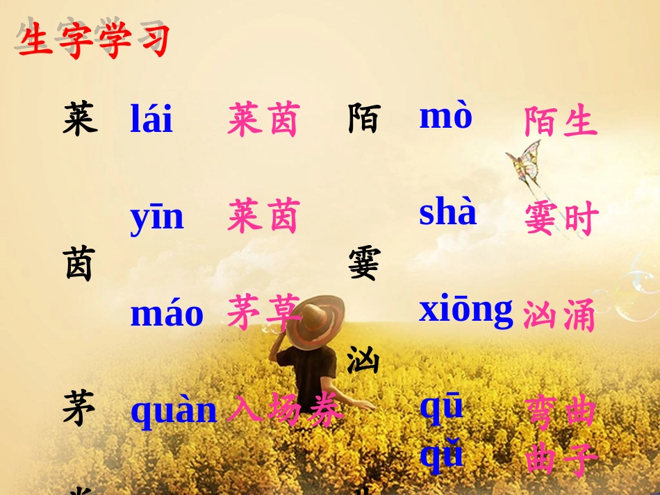 《月光曲》教学课件_第2页