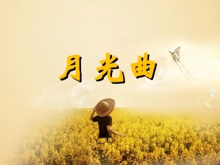 《月光曲》教学课件
