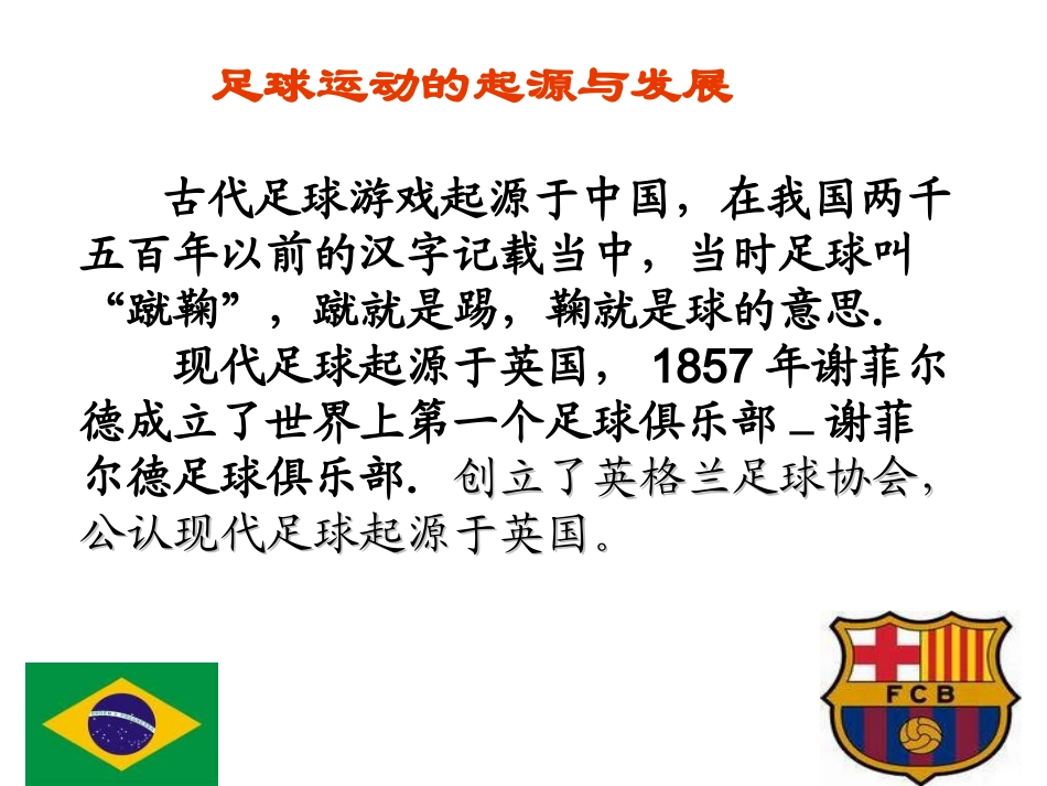 人教版体育与健康《足球》_第3页