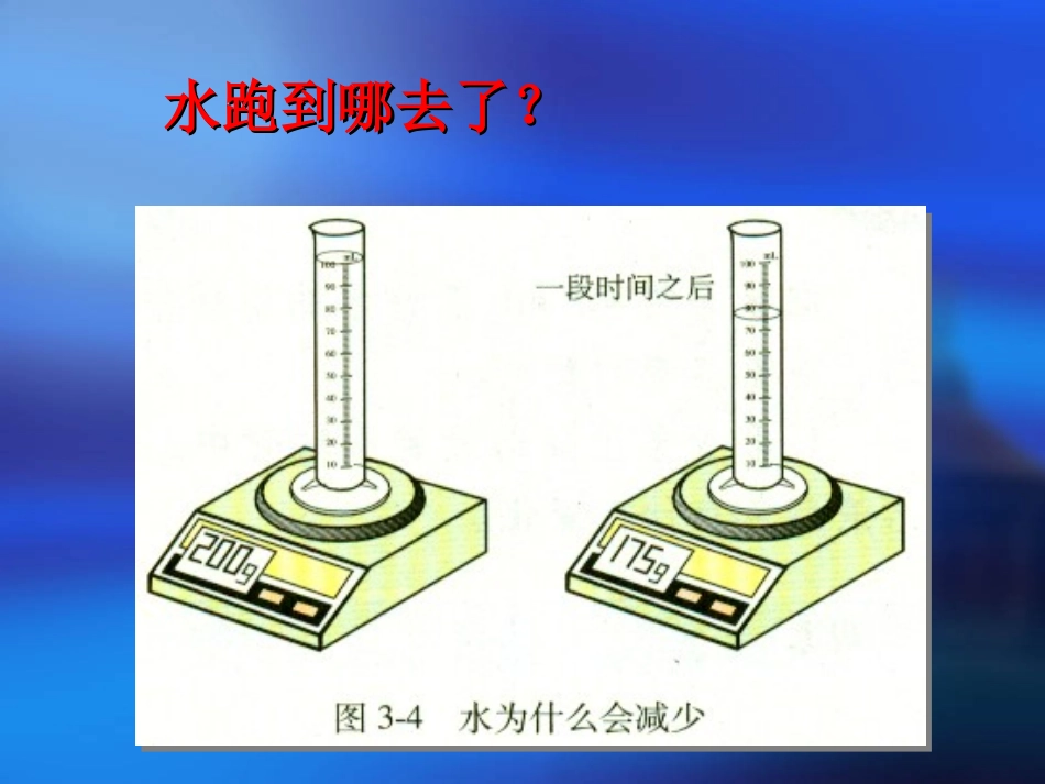 《分子和原子》课件（新）_第3页