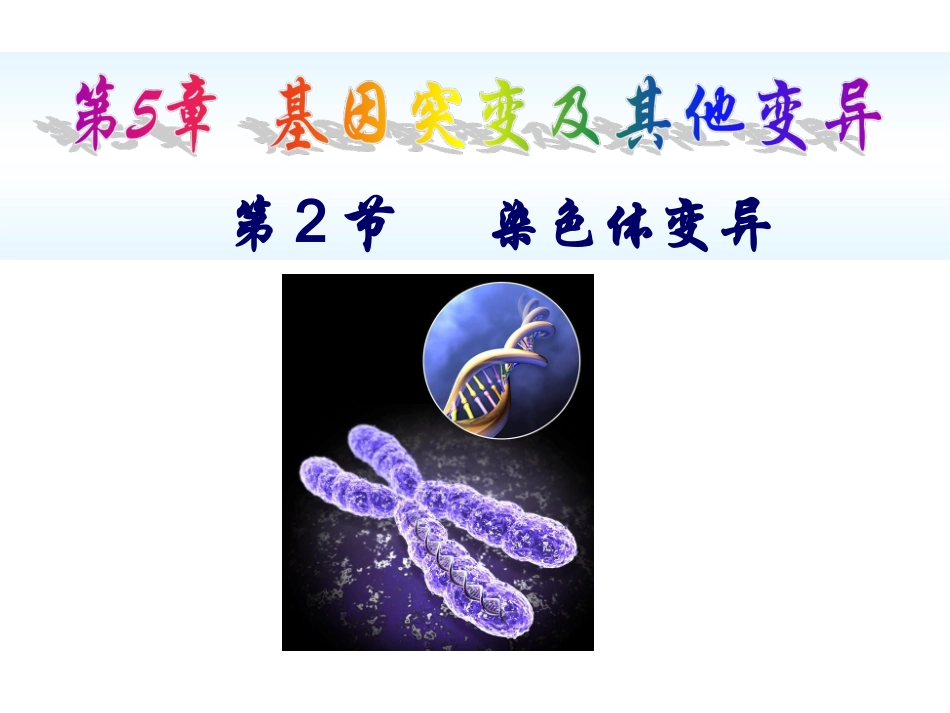 人教版必修二第5章第2节染色体变异（共41张PPT）_第1页